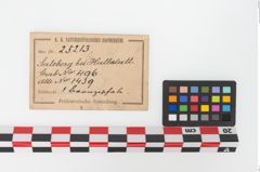 Etiketten zu Bronzebreitrandfußschale (NHMW-PRAE-025213)